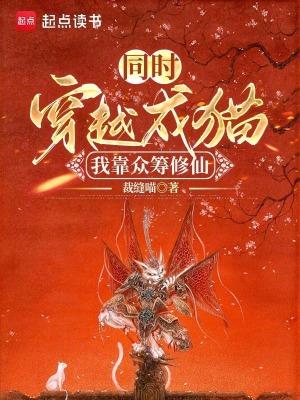 同时穿越成猫我靠众筹修仙作者裁缝喵