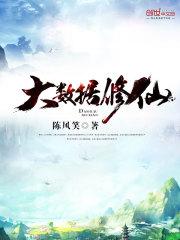 大数据修仙---作者陈风笑