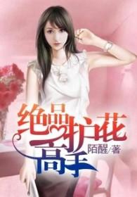 绝品护花高手陈笑免费