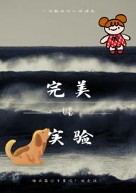 完美产品实验视频教程