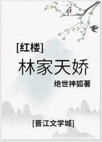 红楼之林家哥