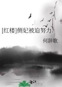 侧妃庶妃