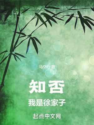知否我是徐家子手打无错字版