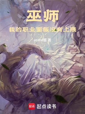 巫师我的职业面板没有上限百度盘