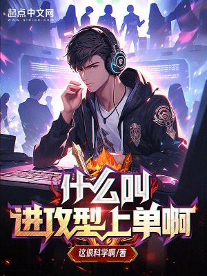 进攻是什么意思?