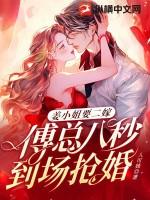 姜小姐要二嫁傅总八秒到场抢婚免费完结