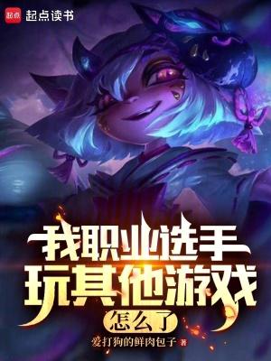职业选手能玩别人账号吗