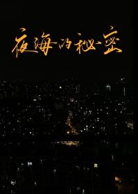 夜海的秘密免费阅读