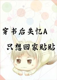 穿书后我失忆了呼啦圈x