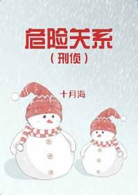 危险关系刑侦txt