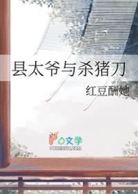 县太爷与杀猪刀TXT百度