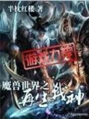 重生之再战魔兽世界