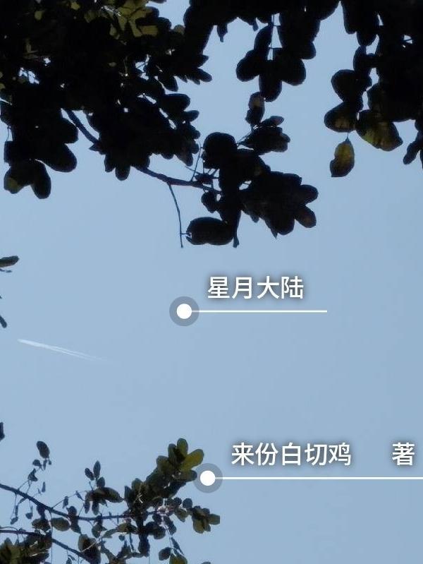 星月大陆兑换码
