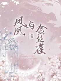 凤凰与金丝雀的区别