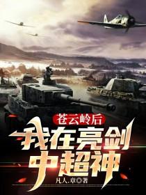 亮剑从苍云岭开始