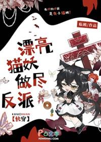 漂亮的猫