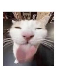 睡觉前来一发