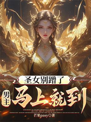 圣女不可能是男孩子全文免费阅读
