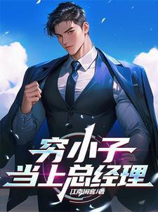穷小子当上总经理的电影