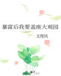 暴富后我要盖座大观园81