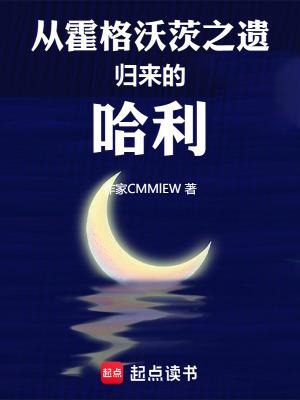 从霍格沃茨之遗归来的哈利波特全文免费阅读
