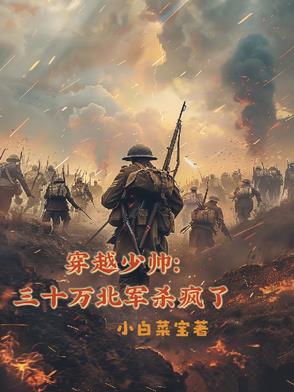 穿越当少帅