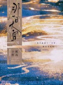 那一场大雪