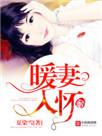 暖妻入怀