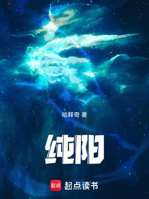 纯阳剑仙