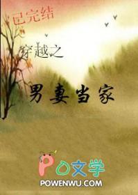 穿越之男妻作者斯过留风