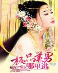 极品美男的基因 免费阅读