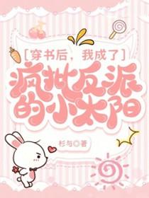 穿书后，我成了疯批反派的小太阳